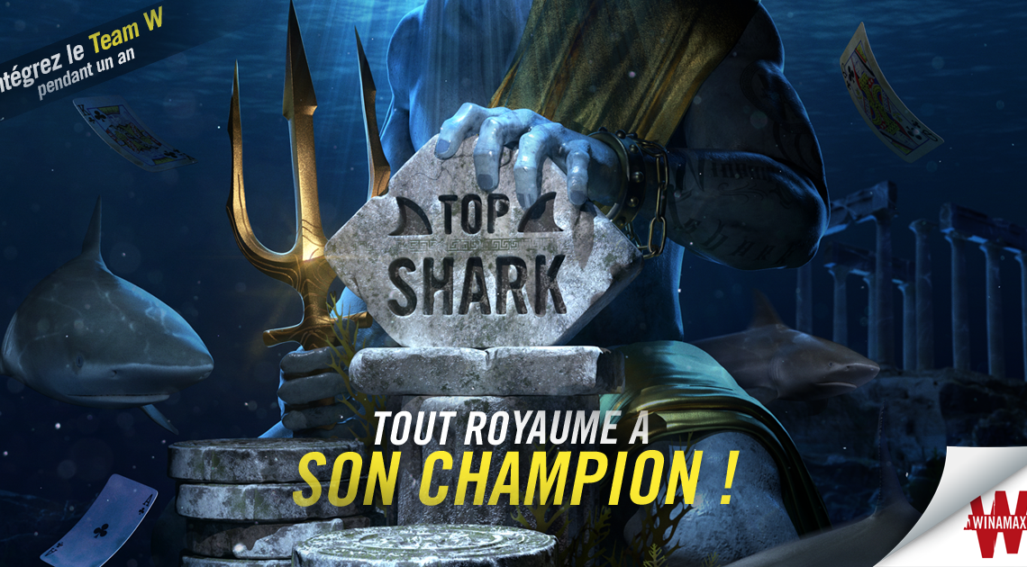 Top Shark Academy : devenez le roi des océans